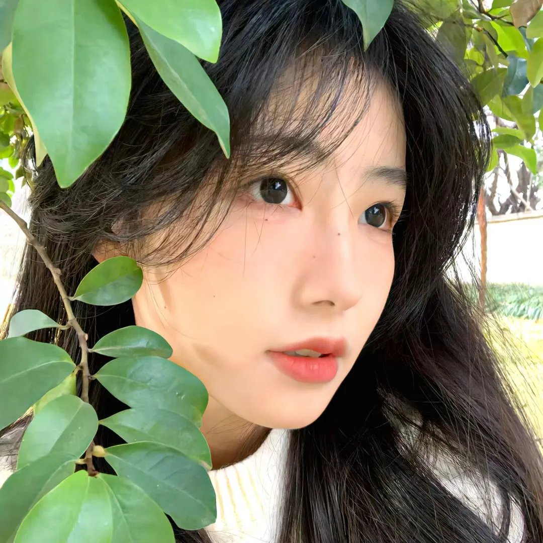 宣告黎明的露之歌